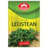 LEUSTEAN 6G COSMIN