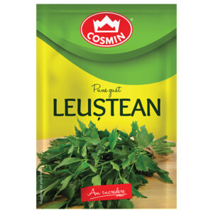 LEUSTEAN 6G COSMIN