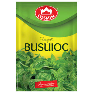 BUSUIOC 8G COSMIN