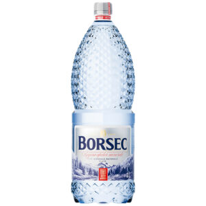 APA MINERALA PLATA 2L BORSEC