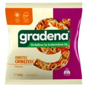 AMESTEC CHINEZESC 400G GRADENA