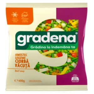 AMESTEC LEGUME CIORBA DE VACUTA 400G GRADENA